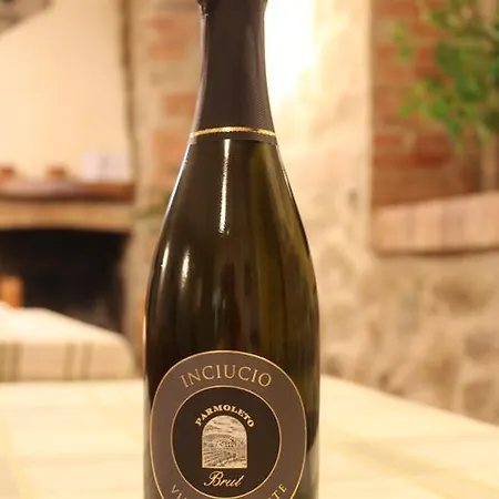Bauernhof Parmoleto